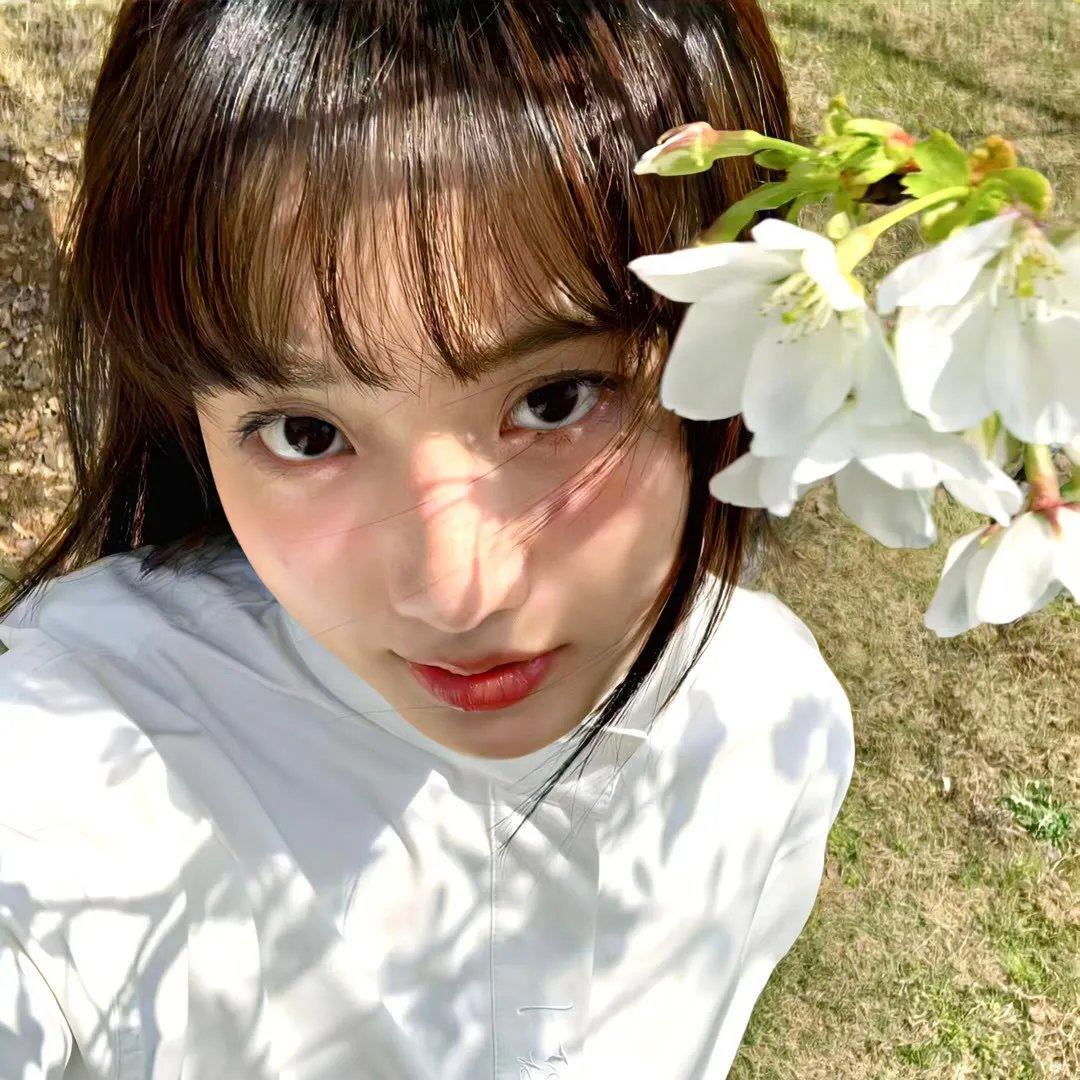 庐山假面目