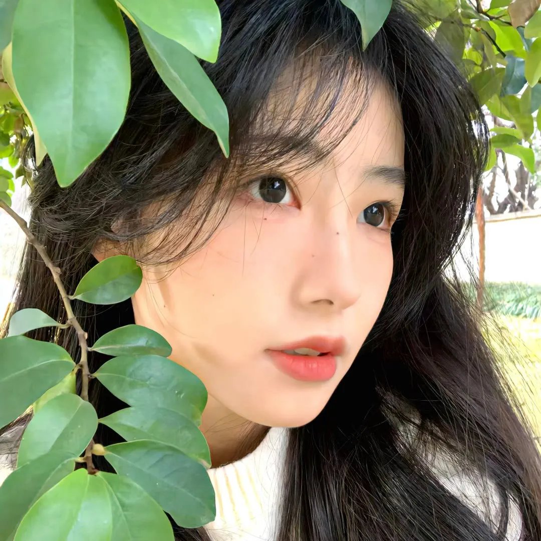 麻衣神婿